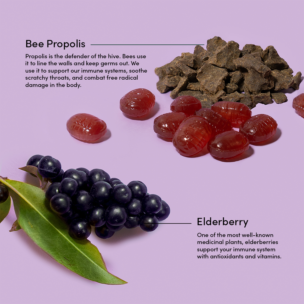 Elderberry lozenges ingredients: elderberries, bee propolis, soothe scratchy throats, support immune system with