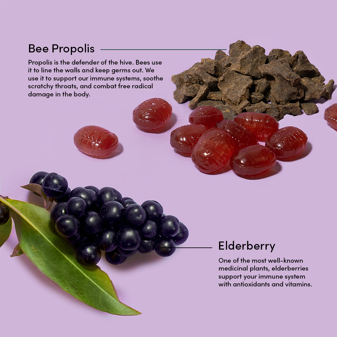 Elderberry lozenges ingredients: elderberries, bee propolis, soothe scratchy throats, support immune system with