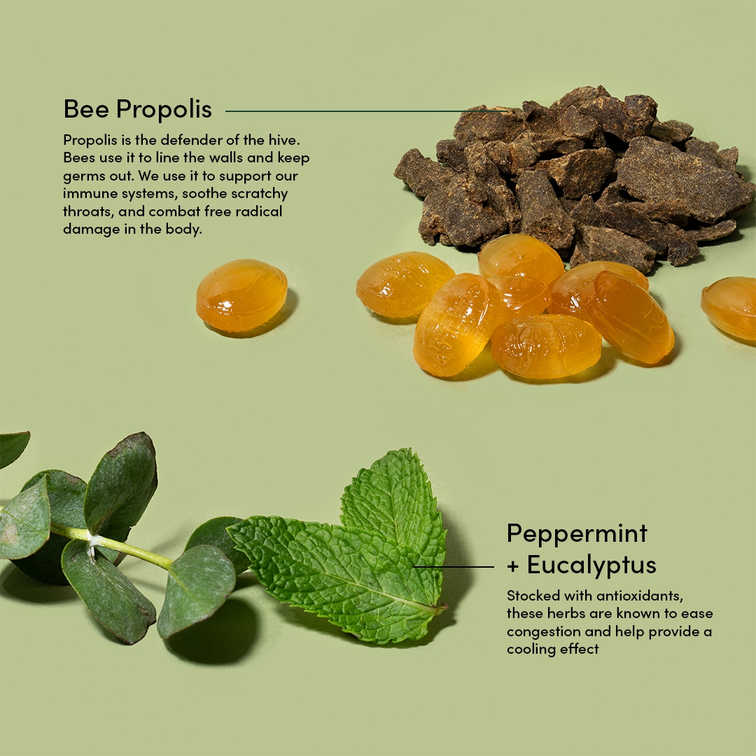 Infographic showing bee propolis and peppermint + eucalyptus. propolis is the defender of the hive. bees use it to line the walls and keep germs out. we use it to support our immune systems, soothe scratchy throats, and combat free radical damage in the body. Peppermint + eucalyptus: stocked with antioxidants, these herbs are known to ease congestion and help provide a cooling effect.