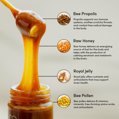 Superfood honey benefits: Bee propolis, raw honey, royal jelly, and bee pollen support immunity and brain health.