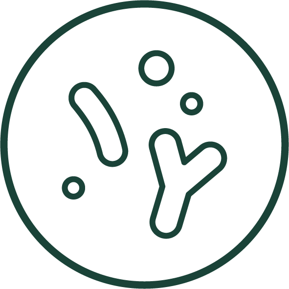 Outline of various microorganisms including rod-shaped bacteria and circular cells inside a circle, representing disease or parasites.