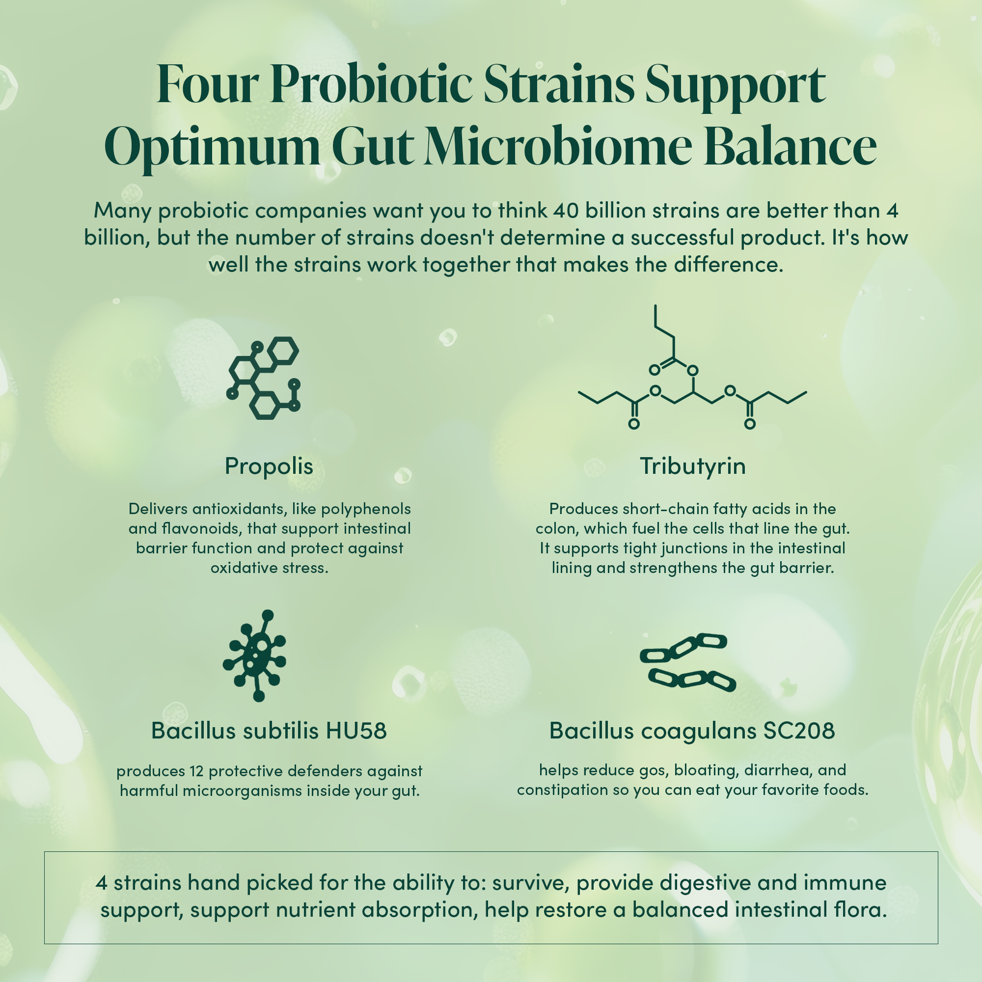 3-in-1 Gut Health probiotic strains: Propolis, Tributyrin, Bacillus subtilis HU58, Bacillus coagulans SC208 benefits