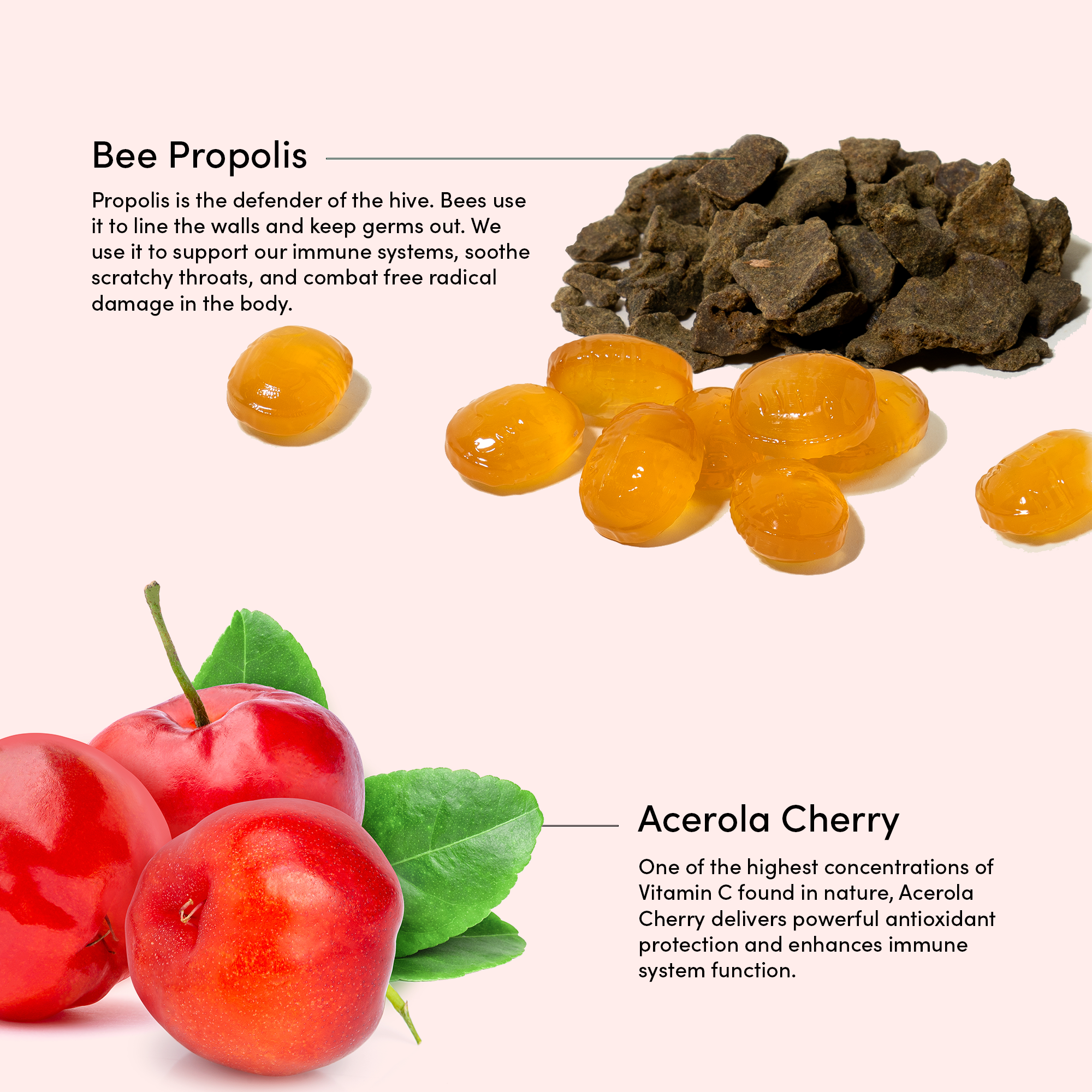 Cherry lozenges ingredients: bee propolis for immune support, acerola cherry (Vitamin C antioxidant), soothing for scratchy