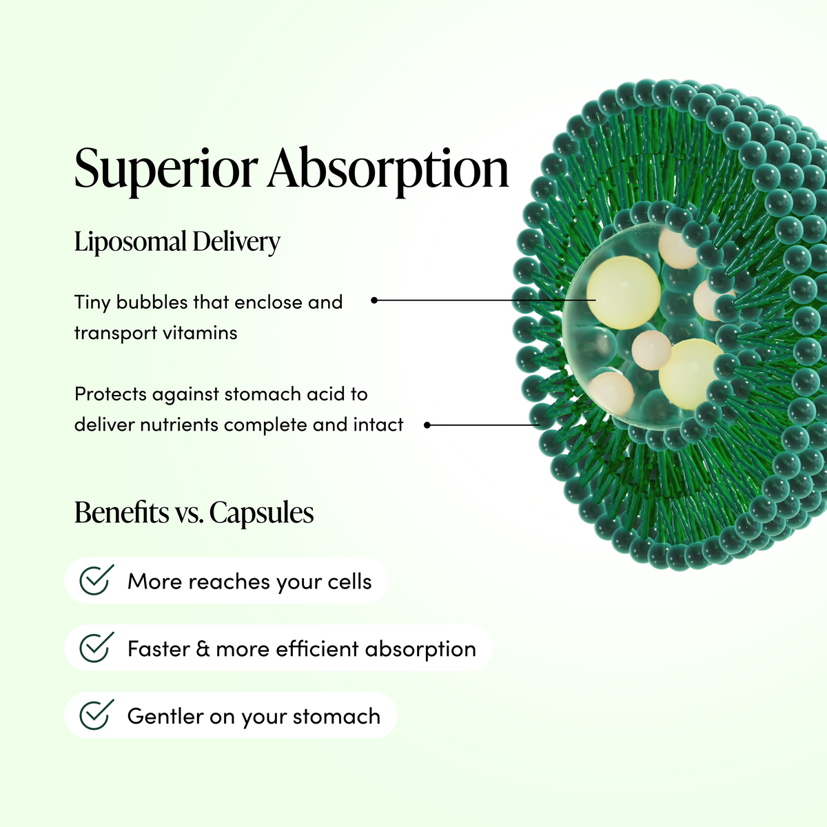 An infographic comparing liposomal delivery with capsules, featuring a green 3D illustration of a liposome on the right and text on the left highlighting benefits like superior absorption, tiny bubbles enclosing nutrients, protection against stomach acid, and better cell delivery.