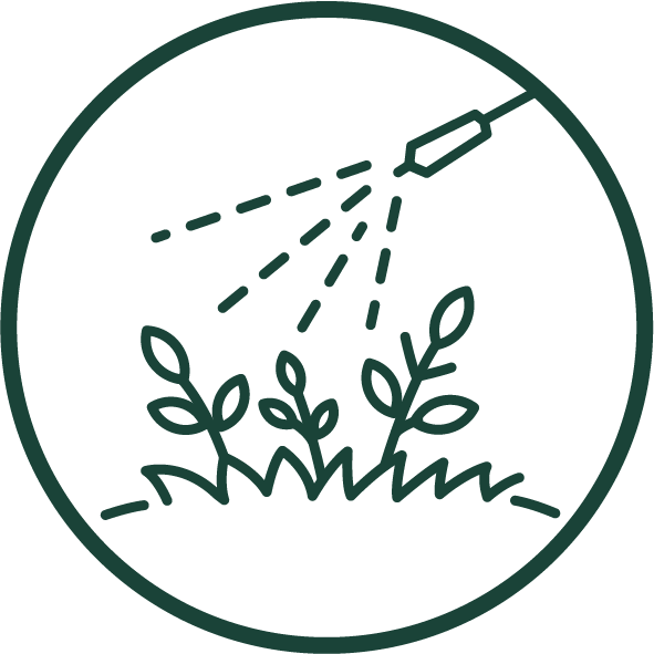 Icon of a watering can watering plants with a circular border.