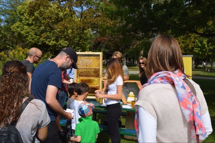 david suzuki foundation