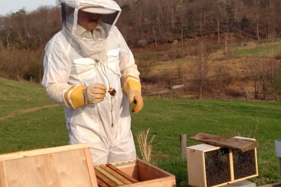 Beekeeper in white protective suit inspecting hive frames in a grassy, hilly apiary