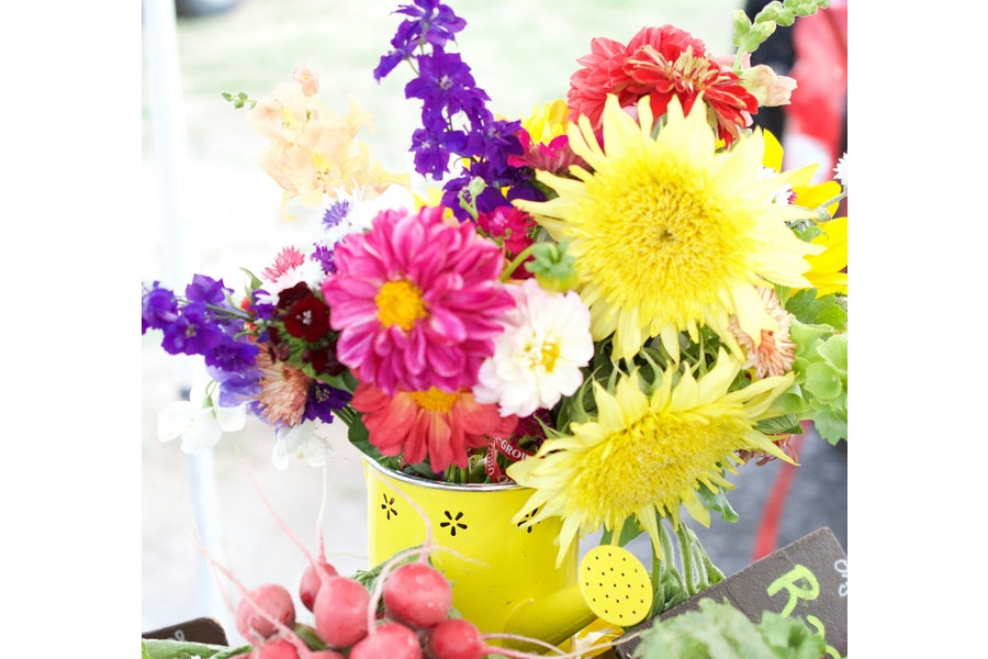 Bouquet of sunflowers, pink dahlias and purple larkspur in a yellow watering can on a farmers market table with radishes in front