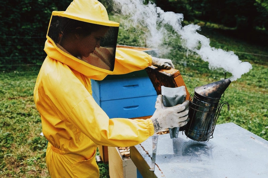 Beekeeper in yellow protective suit using a smoker next to a blue beehive in a grassy outdoor apiary