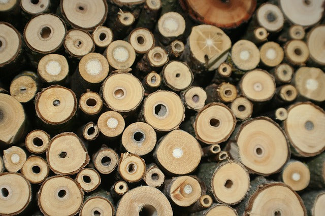 Close-up of stacked hollow bamboo and wood stems with various drilled holes for a DIY solitary bee hotel