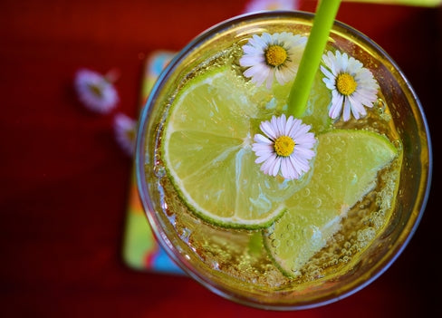 Top-down view of a fizzy limeade with lime slices, small white daisy-like flowers, and a green straw in a glass on a red surface