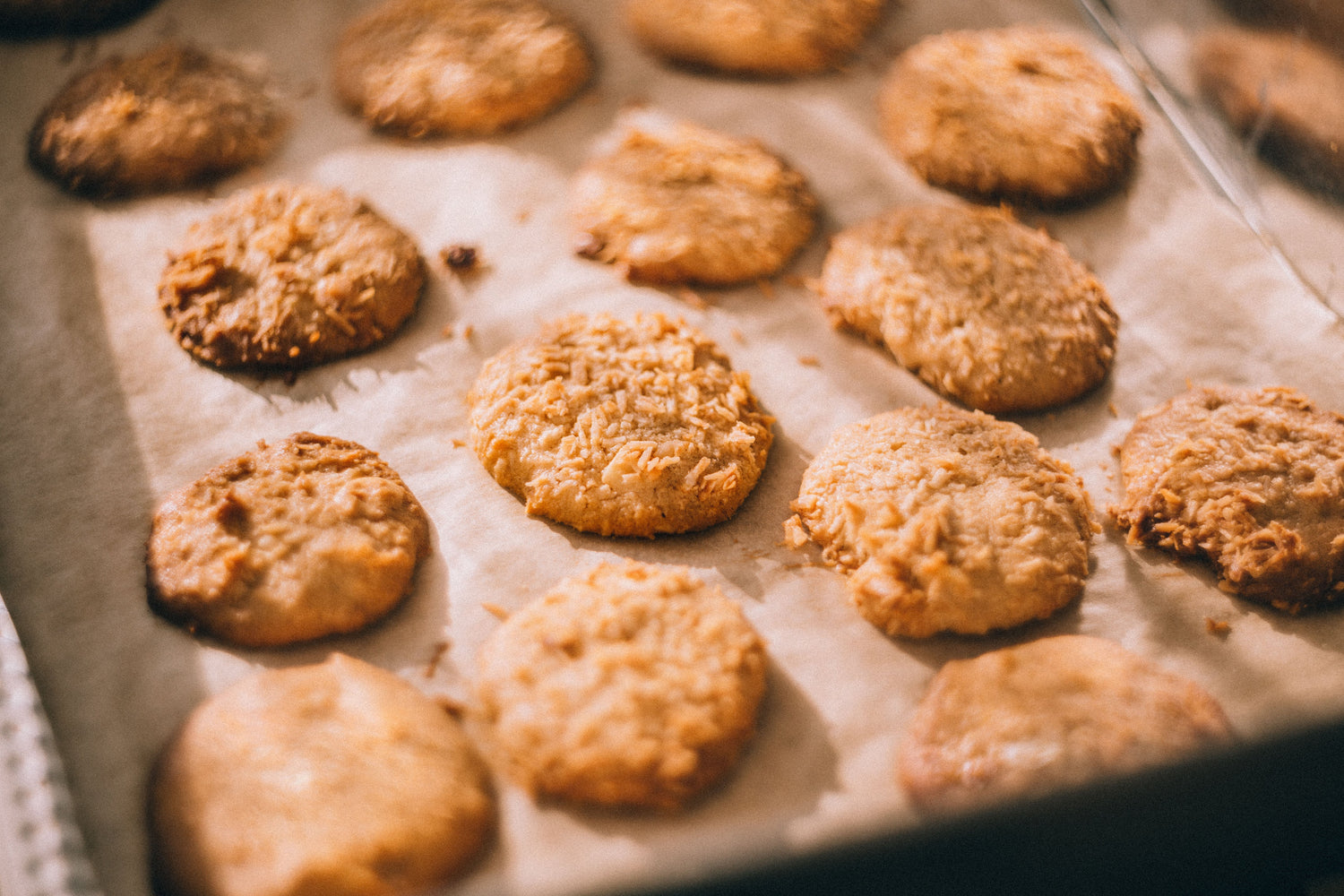 Overhead view of buckwheat gingersnap cookies showing golden-brown, slightly cracked tops on a parchment-lined baking sheet