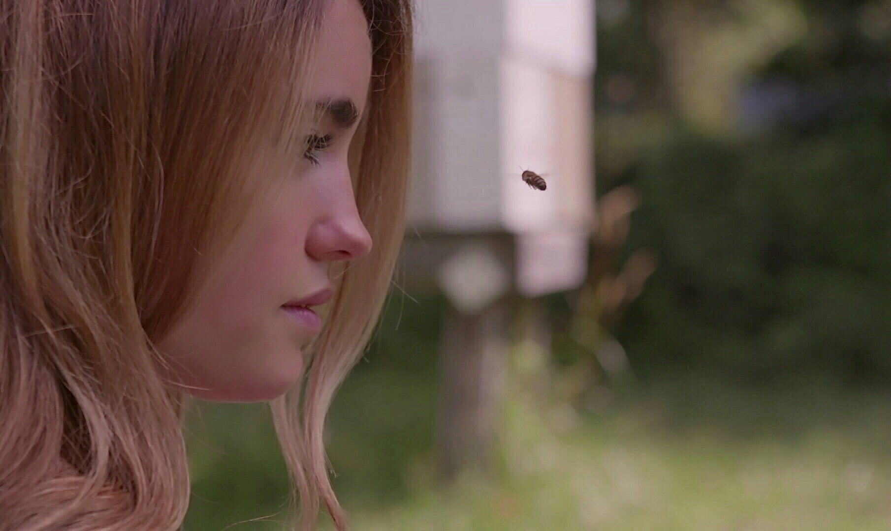 Young woman in profile watching a honeybee hover near an out-of-focus beehive in a grassy yard
