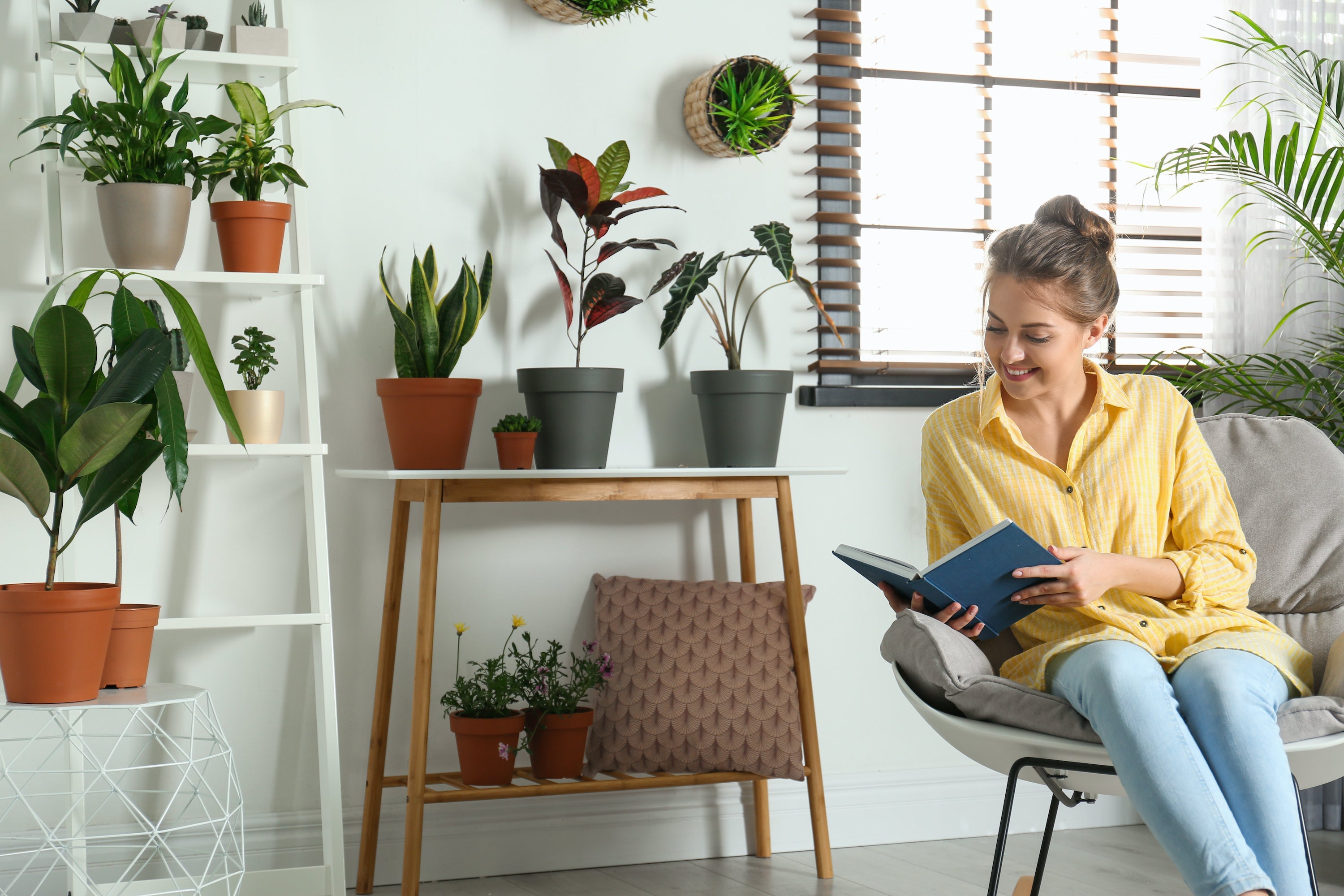 Woman sitting in a chair reading a book in a sunlit living room filled with potted plants
