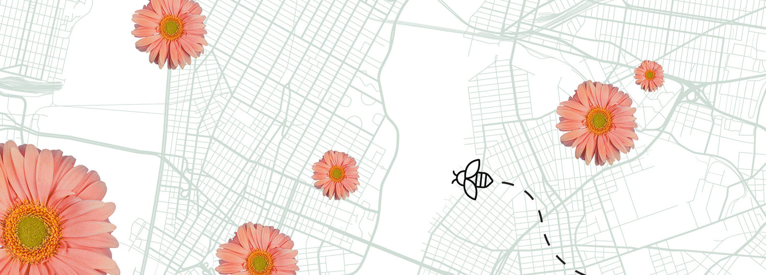 Bee flying over a stylized map of New York City dotted with pink daisy flowers