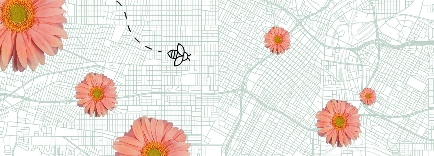 Illustrated map of Los Angeles with pink daisies marking pollinator spots and a bee flying across the city