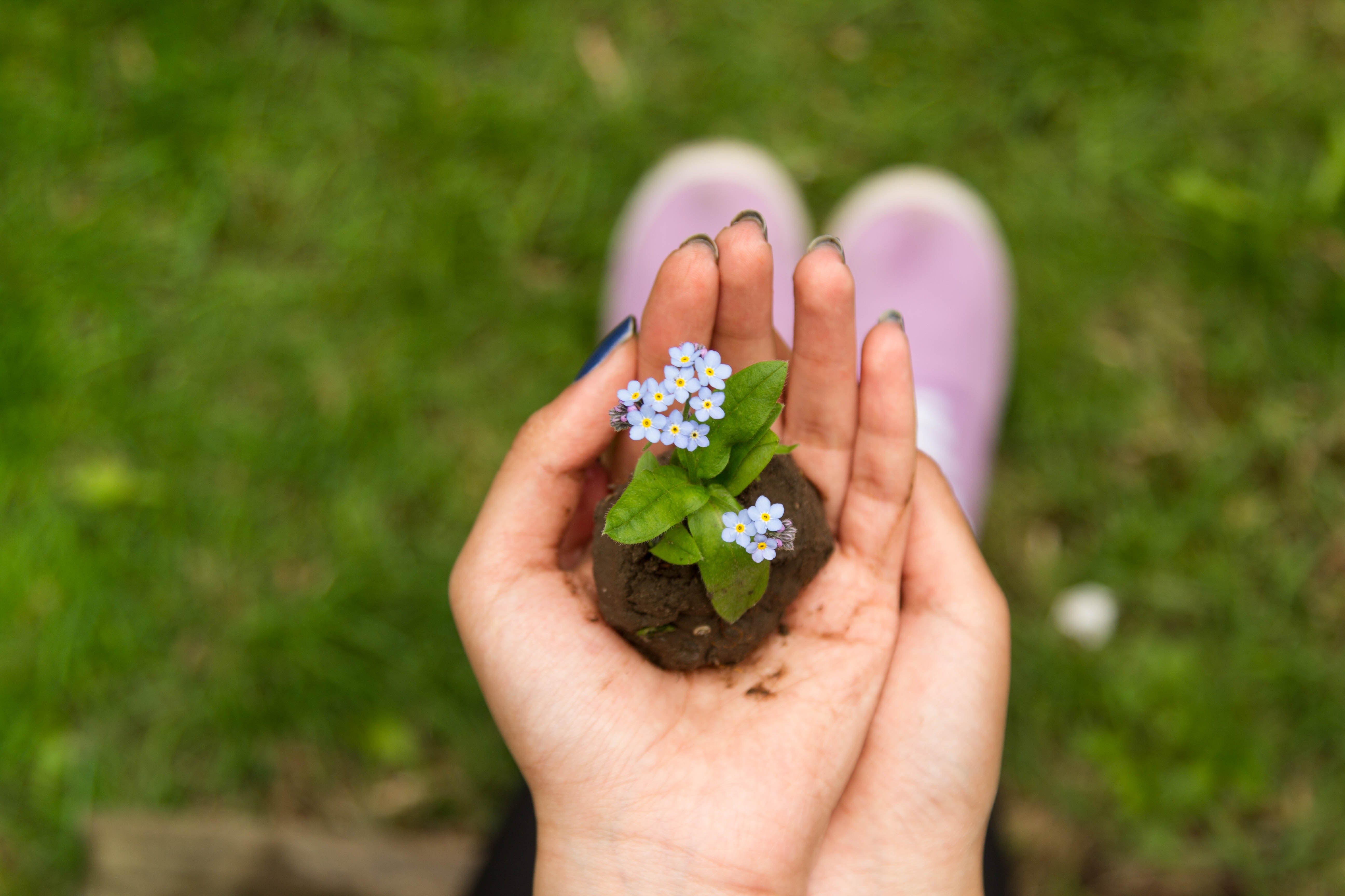 Plant a Garden (No Matter How Tiny) To Help Save the Bees