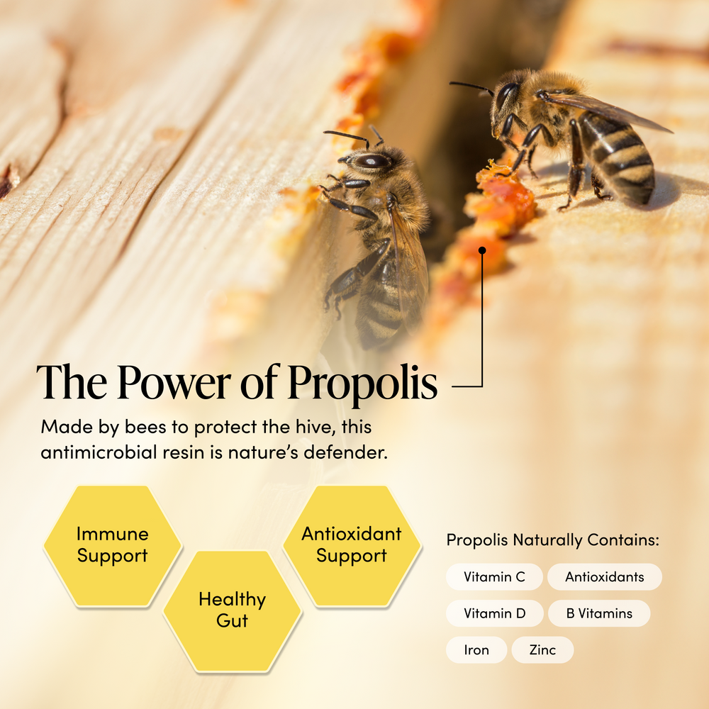 Two bees interacting with propolis on a wooden surface, with text about the power of propolis and its benefits.