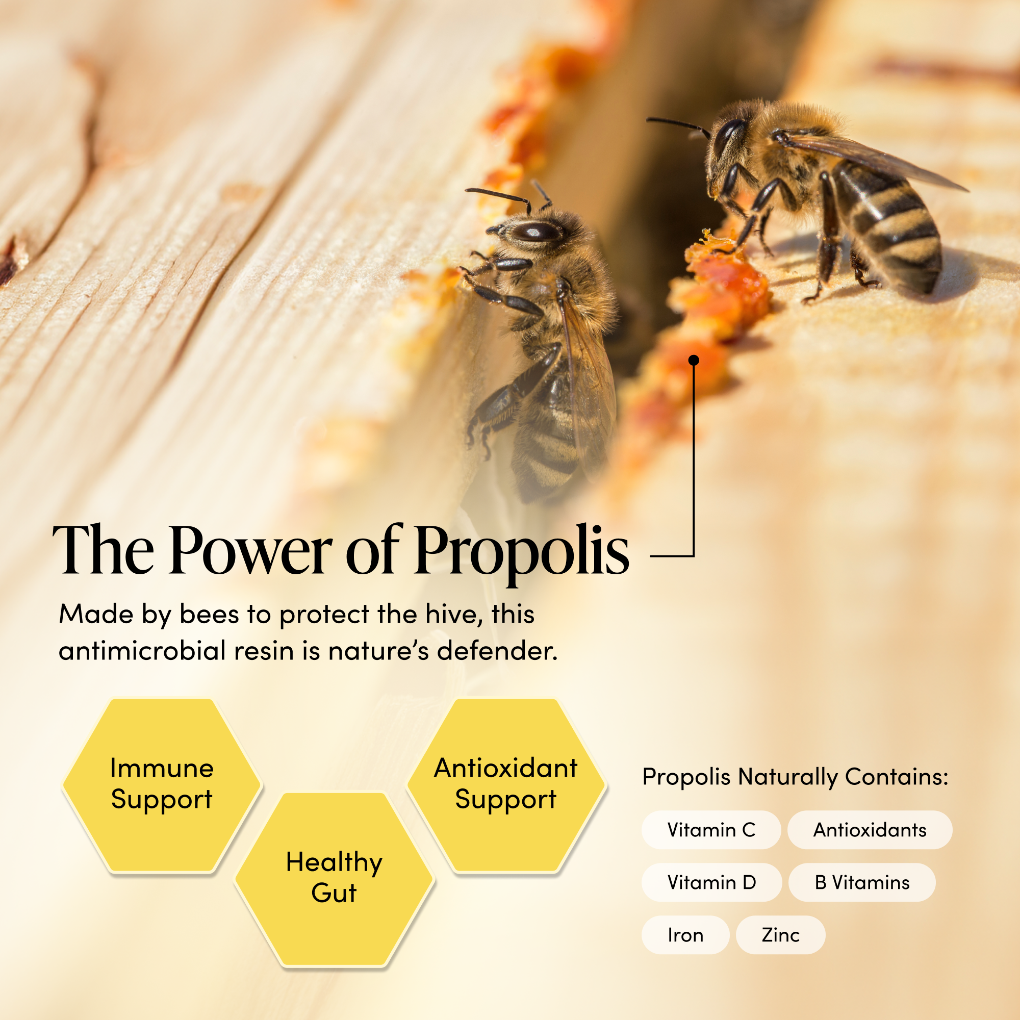 Two bees interacting with propolis on a wooden surface, with text about the power of propolis and its benefits.