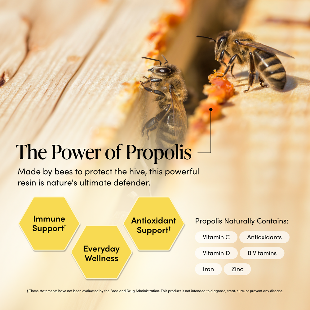 An informational graphic about propolis, featuring a close-up photo of bees on a honeycomb frame over a wooden surface. Large text reads 'The Power of Propolis,' with supporting callouts about immune support, antioxidant support, everyday wellness, and a list of nutrients propolis naturally contains.